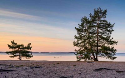 Första blogginlägget