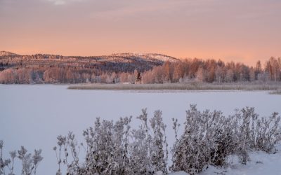 I ett vintrigt Boden….