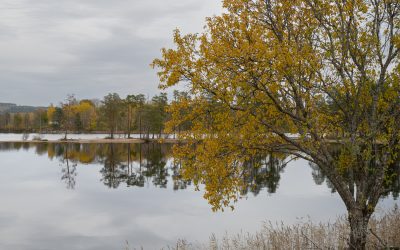 Svärdsjö i Dalarna