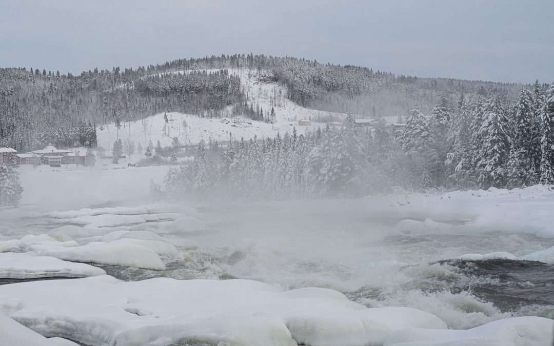 Julmarknad i Storforsen