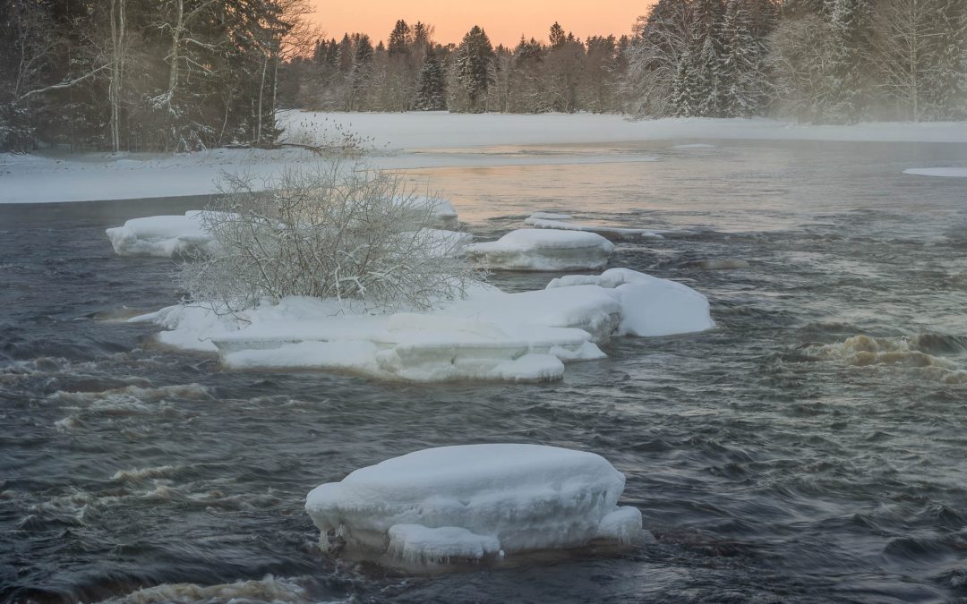 Färnebofjärdens nationalpark