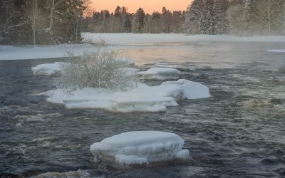 Färnebofjärdens nationalpark