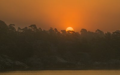 Soluppgång och dimma