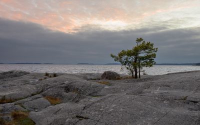 Sista dagarna i december