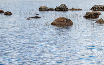 Fotohelg runt Söderfors